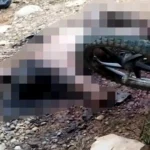 Jenazah Guru di Kampar Ditemukan Tewas dengan Tubuh Terbakar dan Luka Robek di Leher