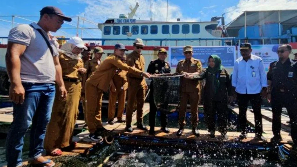 Maluku Ekspor Ikan Kerapu Sebanyak 65 Ton ke Hong Kong
